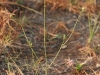 img_1670